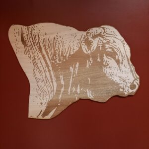 tête de taureau charolais gravée