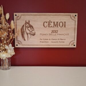 plaque de box personnalisé en bois avec le nom, la gravure de la tête de la race du poney ou cheval, le nom de la race, année ou date de naissance, pedigree et propriétaire