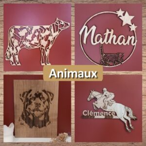 Animaux